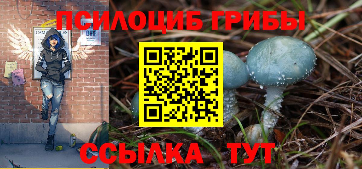 Миасс  хочу наркоту  Галлюциногенные грибы прущие грибы  Вход с VPN  Псилоцибиновые грибы Magic Shrooms 