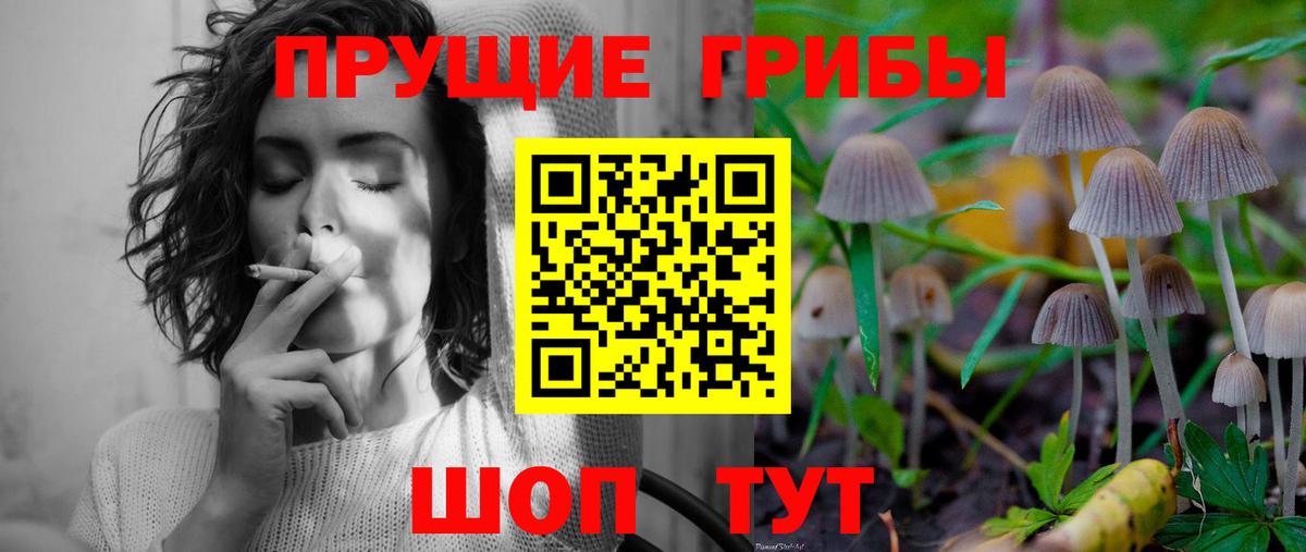 Галлюциногенные грибы GOLDEN TEACHER Миасс